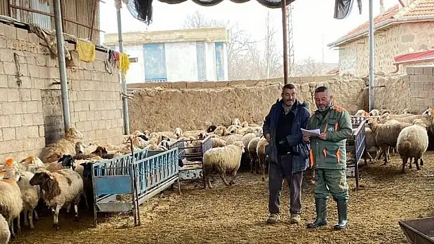 Ereğli'de küçükbaş hayvanlara şap aşısı