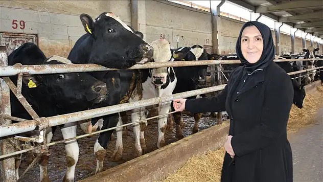 Ev hanımlığından çiftlik patronluğuna: 900 hayvanlık tesis kurdu!