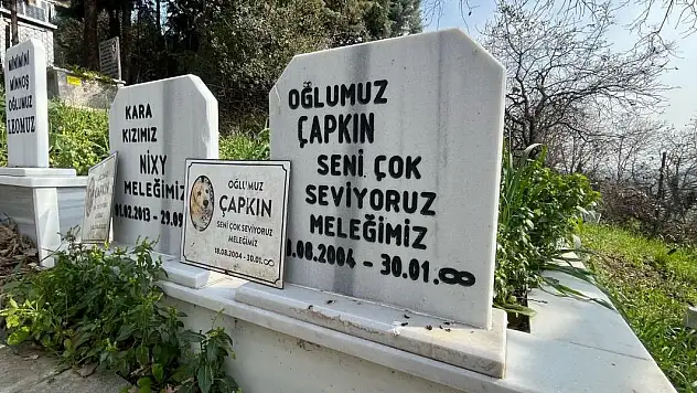 Evcil hayvanlar için 2 bin 500 liraya özel mezar yeri!