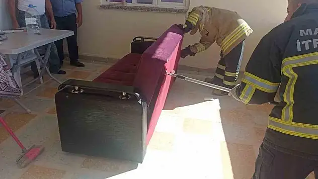 Evin bahçesine giren 3 yılan korku dolu anlar yaşattı