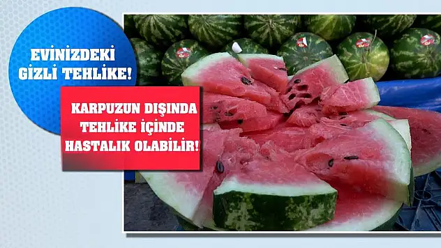 Evinizdeki gizli tehlike! Karpuzun dışında tehlike içinde hastalık olabilir!