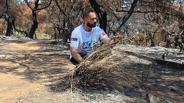 'Falezlerin gelini' de yangından etkilendi