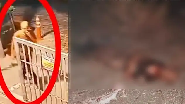 Fatih'te sahipsiz köpeklerin saldırısında hayatını kaybeden Ayhan Özçelik'in raporuna ulaşıldı