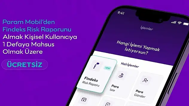 Findeks Risk Raporu, Param Mobil'de