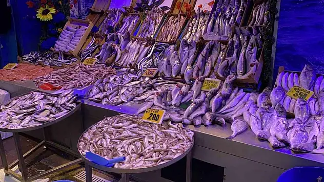 Fiyatı düşen çinekopa ilgi yoğun
