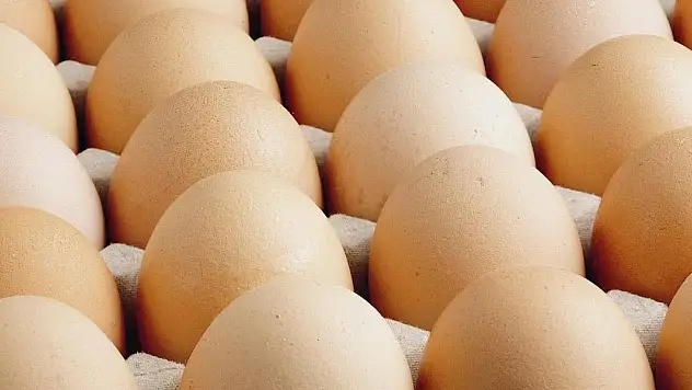 Fiyatı en çok artan ve düşen ürünler belli oldu