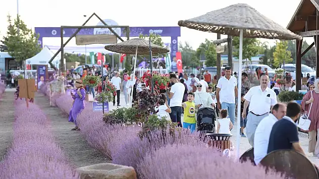 Fotoğraf tutkunları buraya! 'Karatay Lavanta Günleri' başlıyor! O tarihlere dikkat...