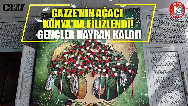 Gazze'nin ağacı Konya'da filizlendi! Gençler hayran kaldı!