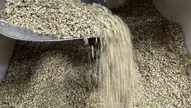 Gerçek baharat nasıl anlaşılır? Alırken bir kez daha düşünün!