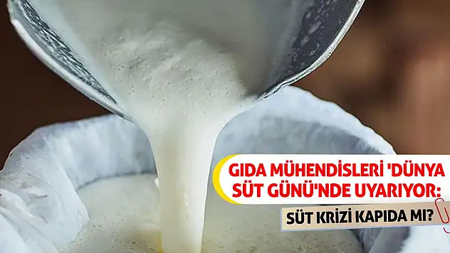 Gıda Mühendisleri 'Dünya Süt Günü'nde Uyarıyor: Süt Krizi Kapıda mı?