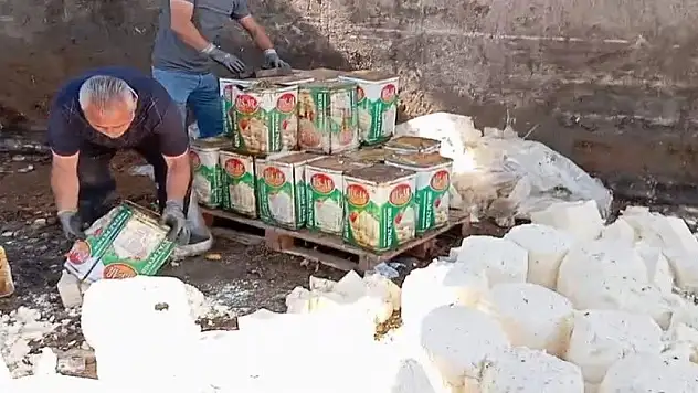 Gıda teröristleri tonlarca bozuk peyniri vatandaşa yedirecekti
