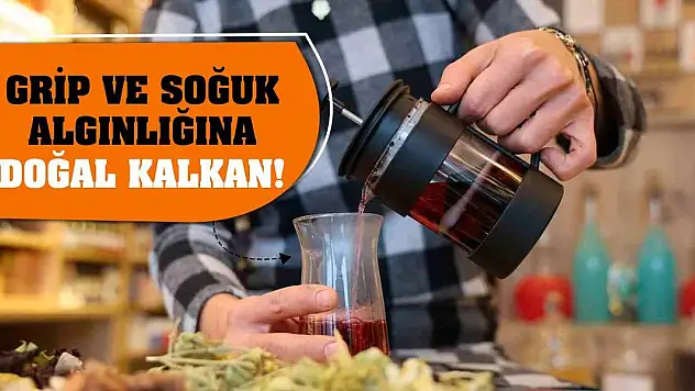 Grip ve Soğuk Algınlığına Doğal Kalkan!
