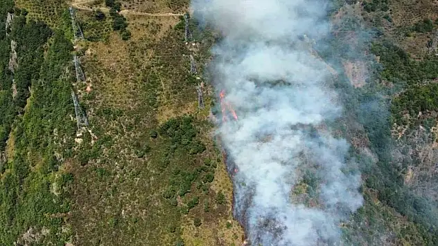 Gümüşhane'deki yangın kontrol altına alındı