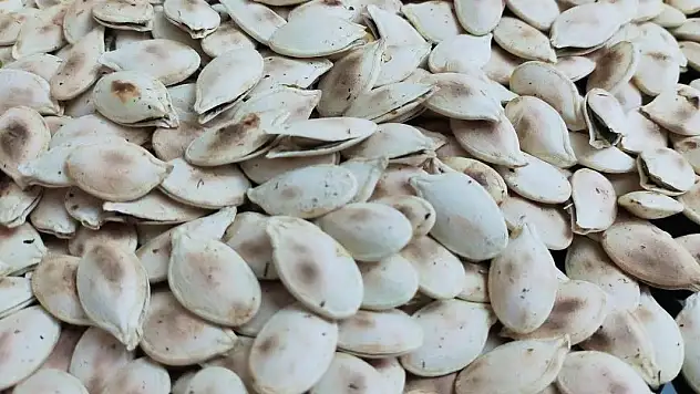 Günde bir avuç tüketilmesi dahi yetiyor: Bakın nelere iyi geliyor!