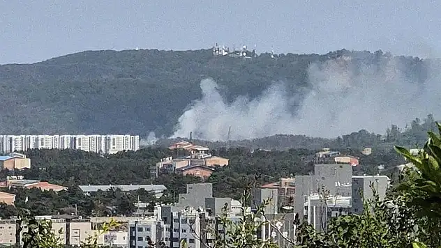 Güney Kore'de 4 kişiyi taşıyan askeri uçak düştü