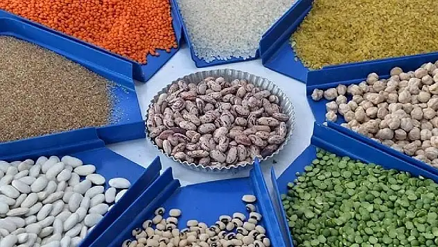 Güneydoğu'nun hububat ihracatı arttı
