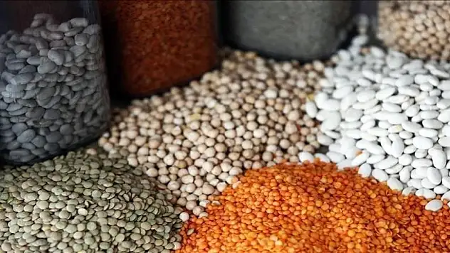 Güneydoğu'nun hububat ihracatı yılın ilk yarısında yüzde 8,7 arttı