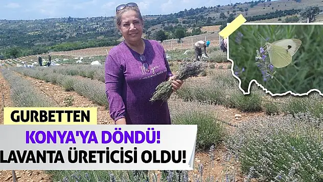 Gurbetten Konya'ya Döndü! Lavanta Üreticisi Oldu!