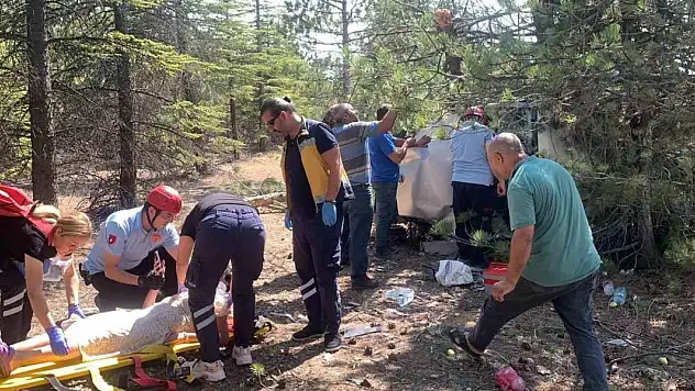 Hafif ticari araç çam ağaçlarına çarparak devrildi: 5 yaralı