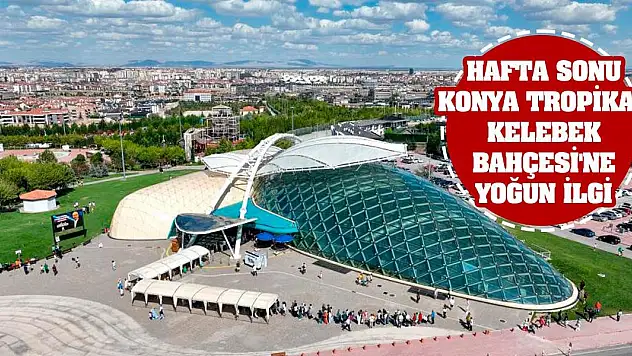 Hafta sonu Konya Tropikal Kelebek Bahçesi'ne yoğun ilgi
