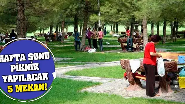 Hafta sonu piknik yapılacak 5 mekan!