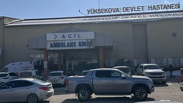 Hakkari'de başıboş köpeklerin saldırdığı çocuk hayatını kaybetti