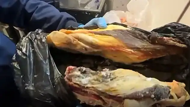 Halkın sağlığıyla oynamışlar: 170 kilo bozuk et ve çürük yumurta imha edildi!