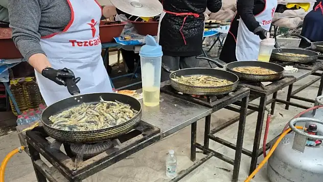 Hamsi festivalinde 3 ton hamsi dağıtıldı, metrelerce kuyruk oluştu