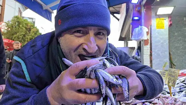 Hamsi rağbet görüyor