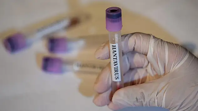 Hantavirüs görülen gemideki 3 Türk Türkiye'ye geliyor
