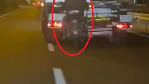 Hareket halindeki TIR'dan koyun çaldılar