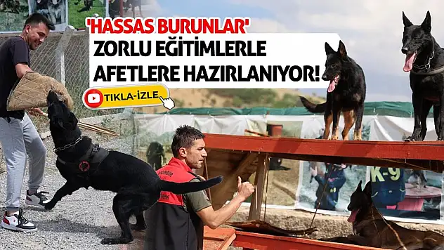 'Hassas burunlar' zorlu eğitimlerle afetlere hazırlanıyor!