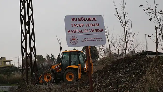 Hatay'da kuş gribi alarmı: Mahalle karantinaya alındı