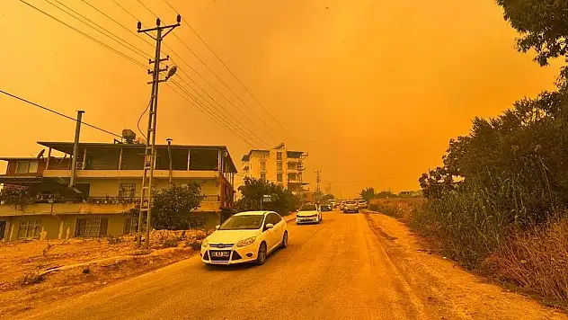 Hatay'da ormanlık alanda yangın çıktı