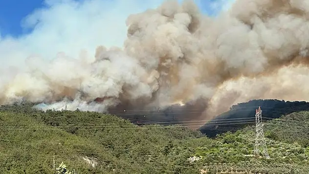 Hatay'daki orman yangınıyla ilgili bir şüpheli tutuklandı