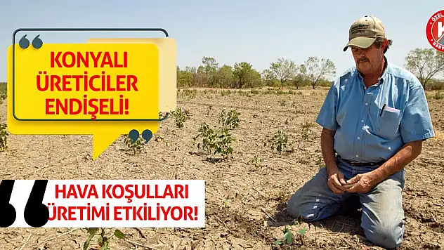 Hava koşulları Konyalı çiftçiyi vurdu!