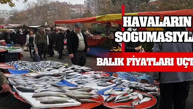 Havaların soğumasıyla balık fiyatları uçtu!