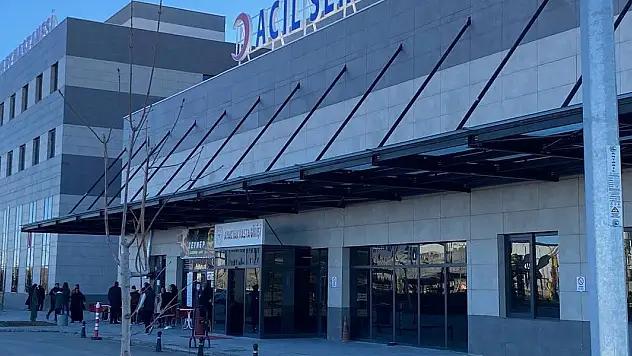 Havyan otlatma kavgası kanlı bitti: 1 yaralı