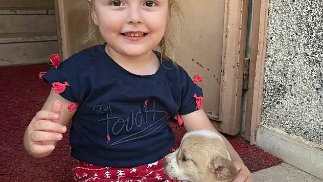 Hayatta olmayan Berra'yı MEBBIS'e kayıt edip okula geldi gibi göstermişler