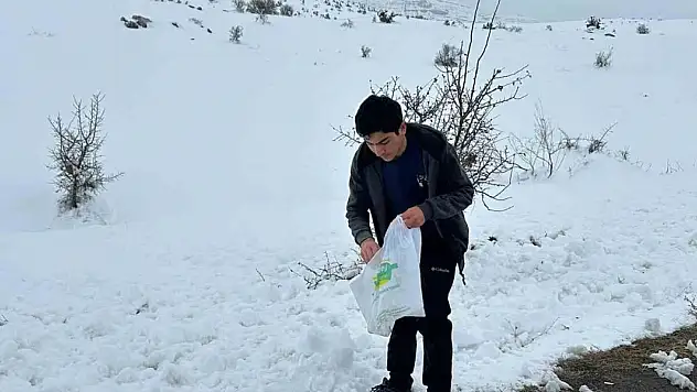 Hayvanlar için doğaya yem bıraktı