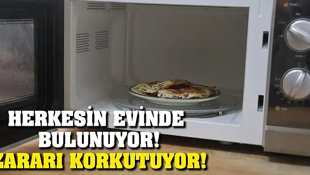 Herkesin Evinde Bulunuyor! Zararı Korkutuyor!