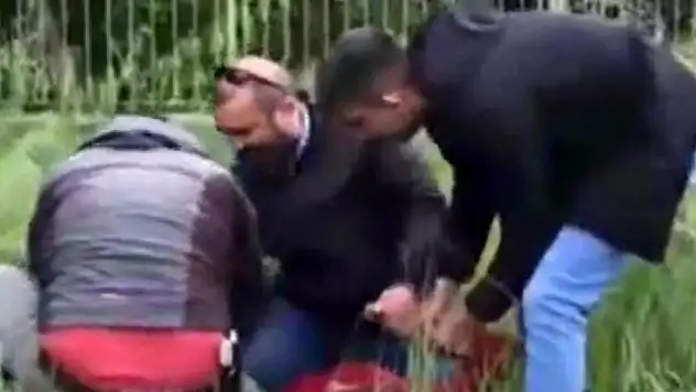 Hırsızlık yaparken suçüstü yakalanan kadın polisi ısırdı
