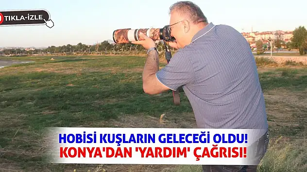 Hobisi Kuşların Geleceği Oldu! Konya'dan 'Yardım' Çağrısı!