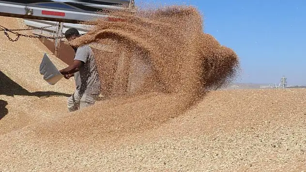Hububat ve bakliyat ihracatı 9 milyar dolara yaklaştı