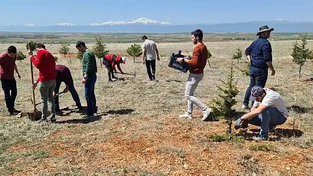 Hüyük'te şehitler anısına fidanlar toprakla buluştu