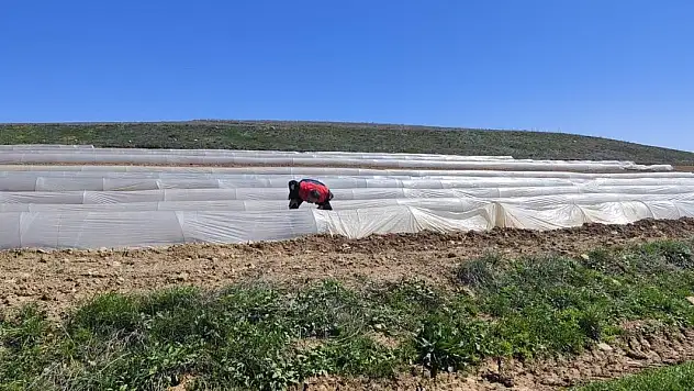 Hüyük'teki meyve üreticisi de zirai don mağduru oldu