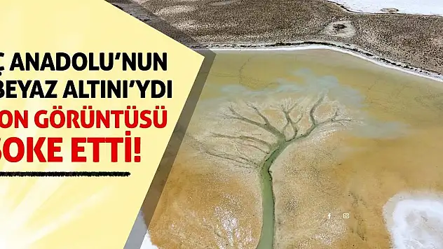 İç Anadolu'nun 'Beyaz Altını'nın Son Görüntüsü Şok Etti!