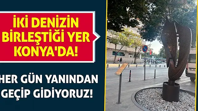 İki denizin birleştiği yer Konya'da! Her gün yanından geçip gidiyoruz!