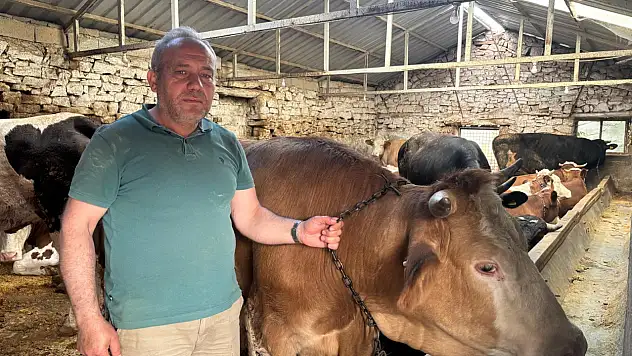 'İki diş' kuralını bilmeyen yandı! Kurbanlık seçerken yapılan hayati 3 hata!