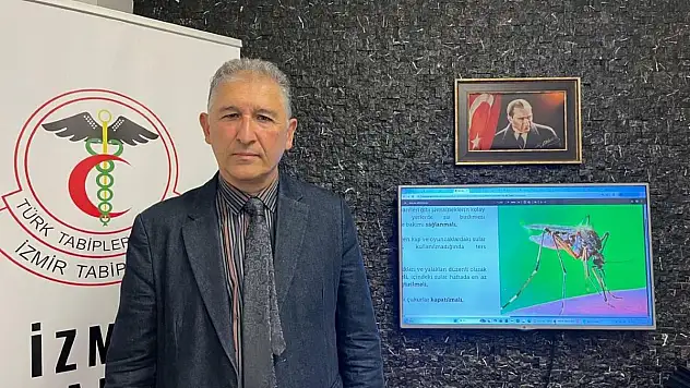 İklim değişikliği nedeniyle sivrisinekler Türkiye'ye taşındı